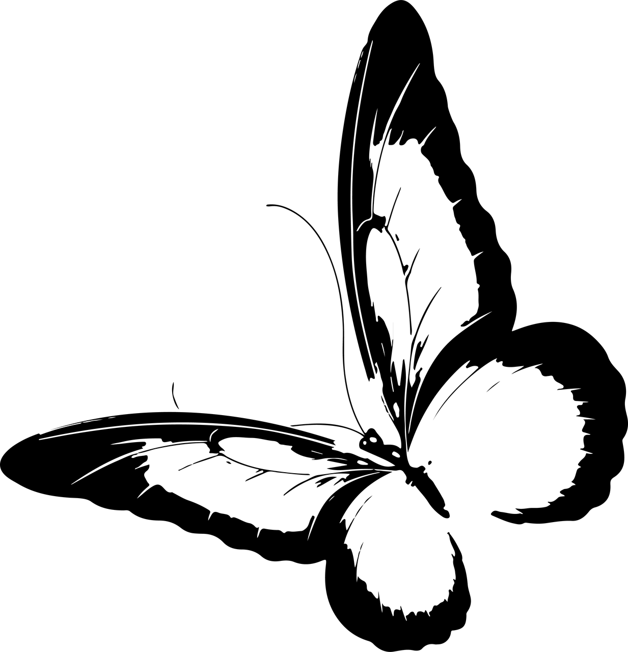 EngravingArt - Image 3